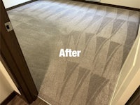 a room with a carpet that has been cleaned