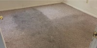 a room with a carpet that has been cleaned